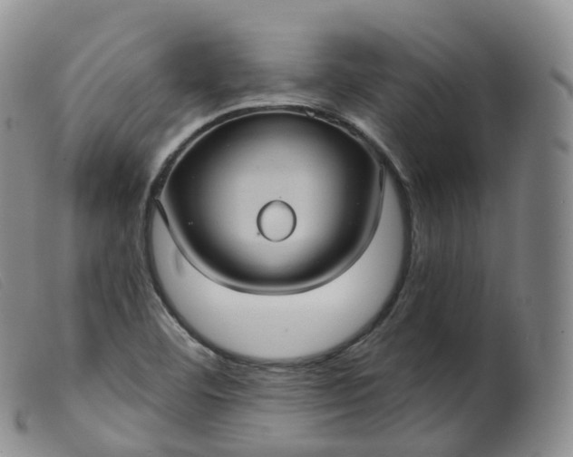 X0000099381460200805221754