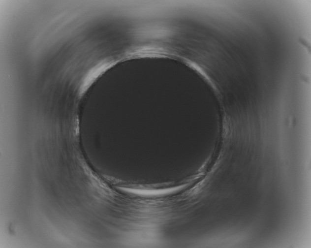 X0000099381461200805221754