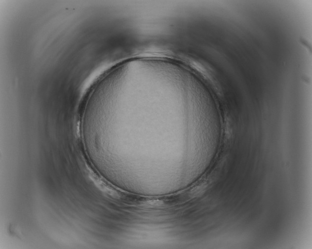 X0000099381462200805221754