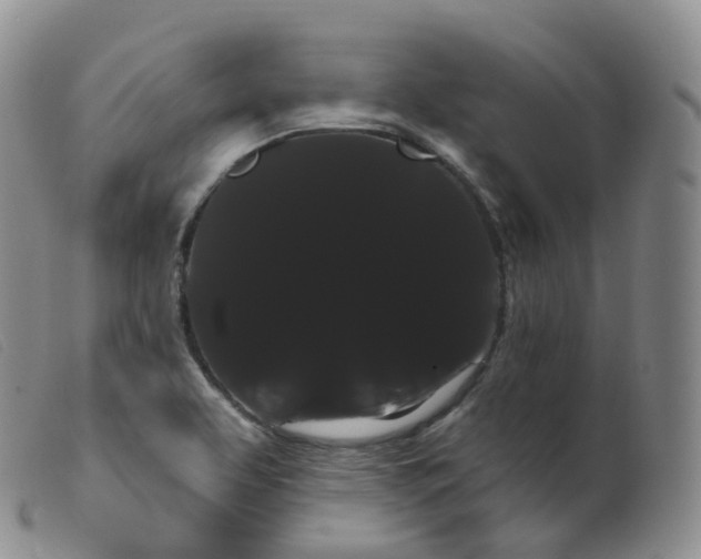 X0000099381463200805221754