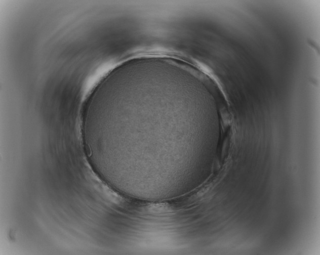 X0000099381464200805221754