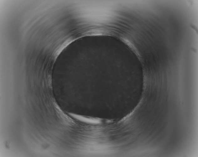 X0000099381465200805221754