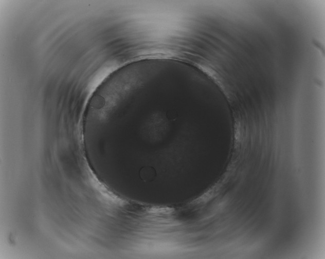 X0000099381466200805221754