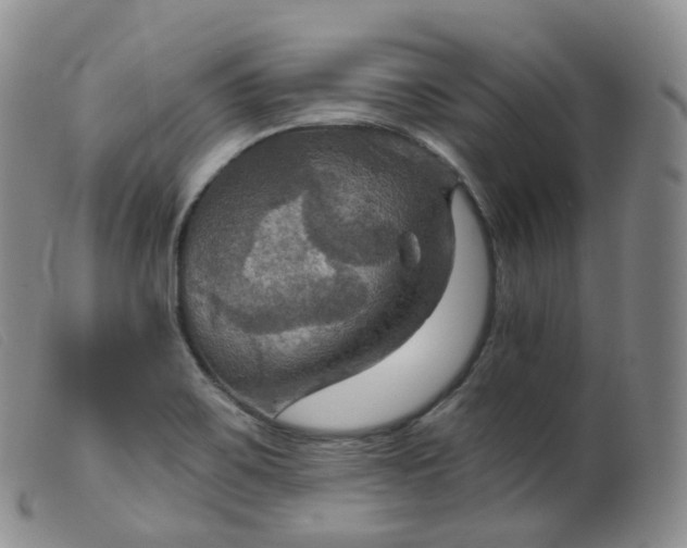 X0000099381467200805221754