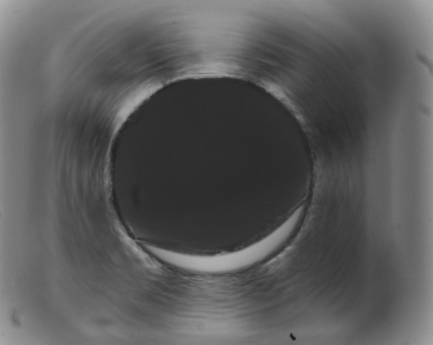 X0000099381469200805221754