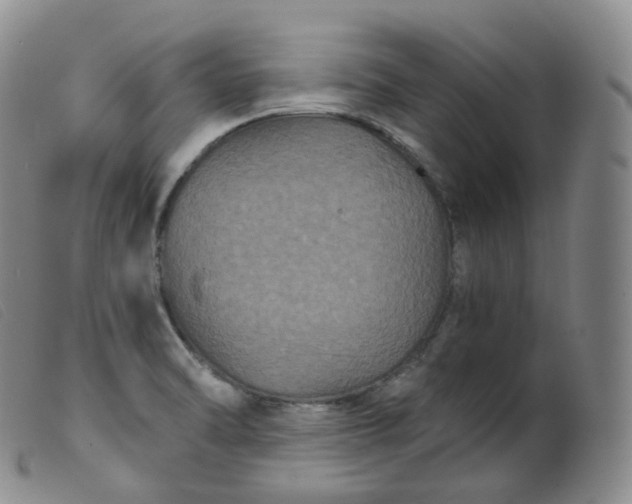 X0000099381470200805221754