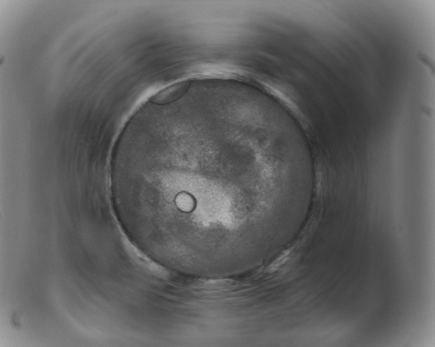 X0000099381471200805221754