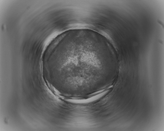 X0000099381472200805221754