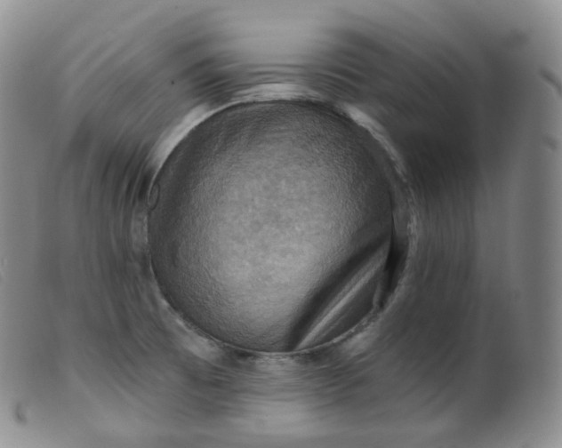 X0000099381473200805221754