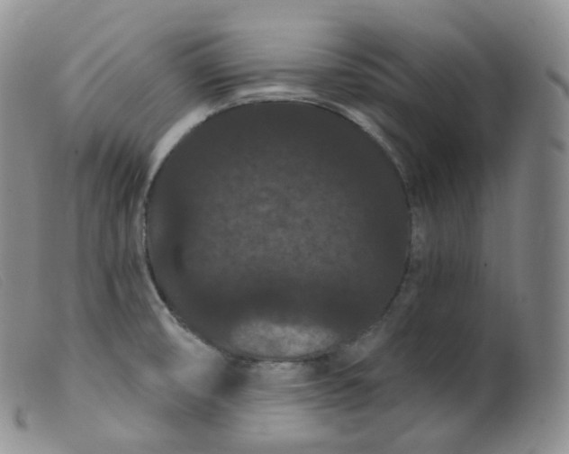 X0000099381474200805221754