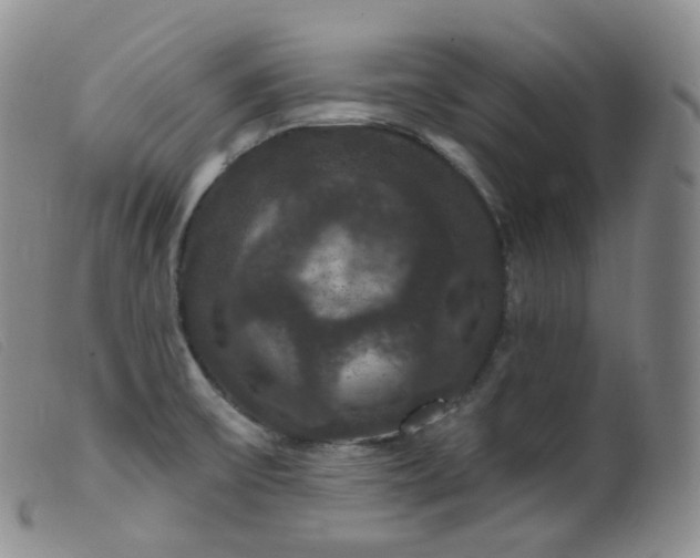 X0000099381475200805221754