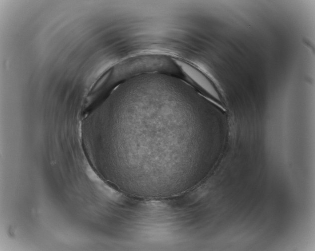 X0000099381476200805221754