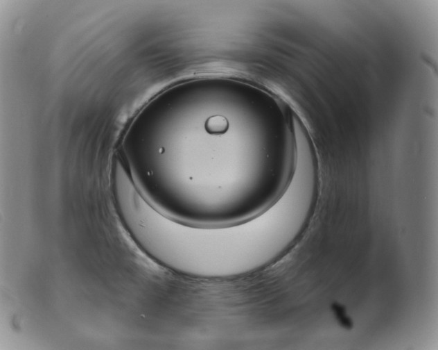 X0000099381477200805221754