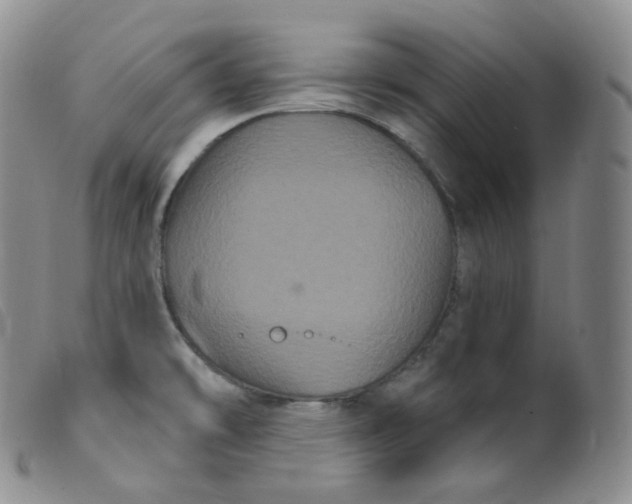 X0000099381478200805221754