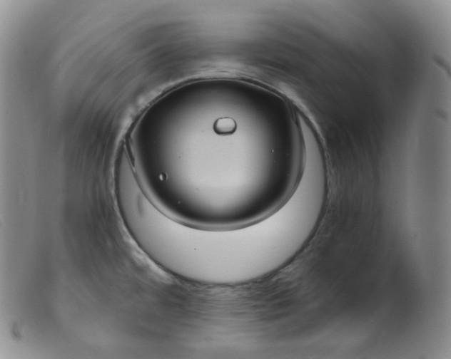 X0000099381480200805221754