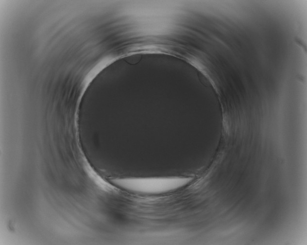 X0000099381482200805221754