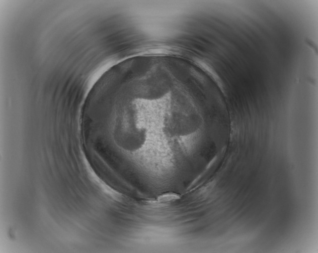 X0000099381483200805221754