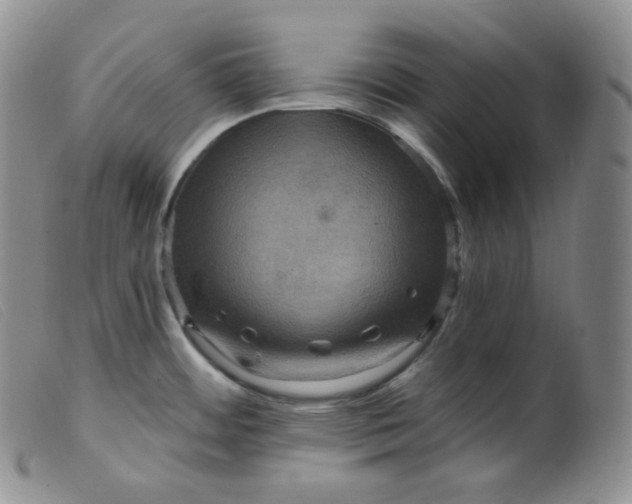 X0000099381484200805221754