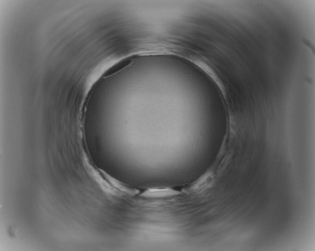 X0000099381485200805221754