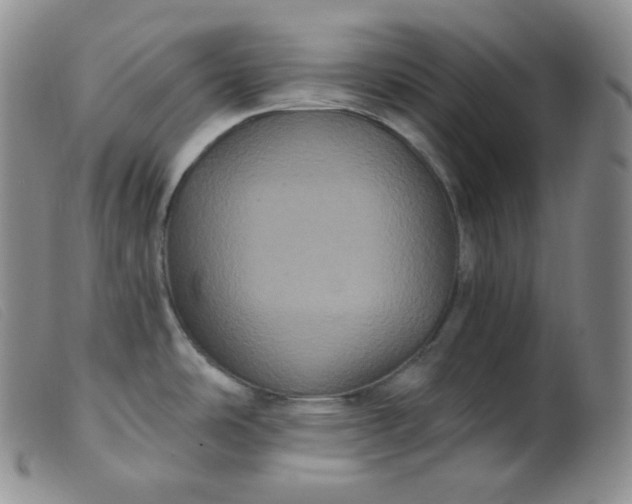 X0000099381486200805221754