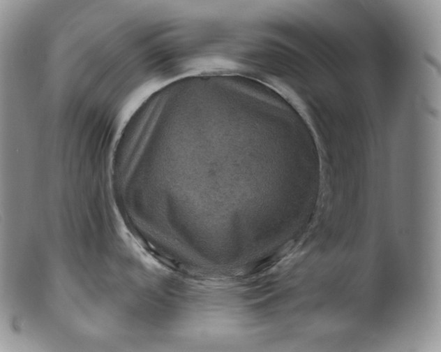 X0000099381488200805221754