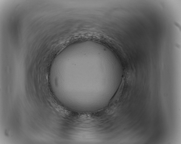 X0000099381489200805221753