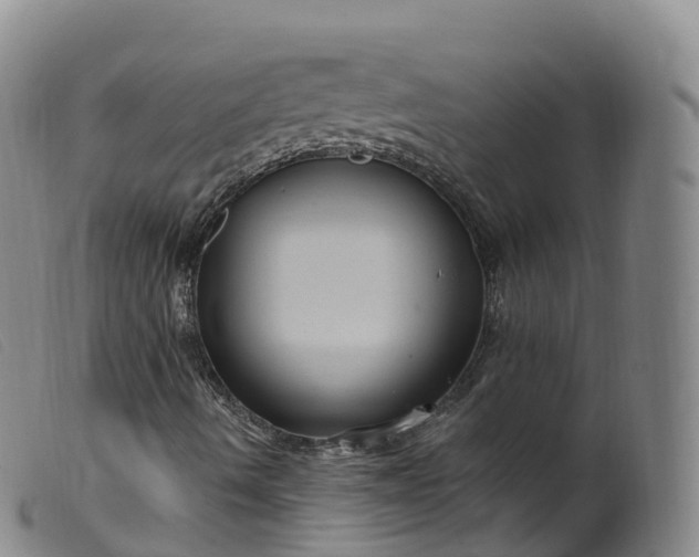 X0000099381490200805221753