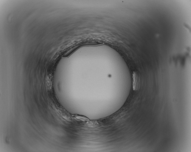 X0000099381491200805221753