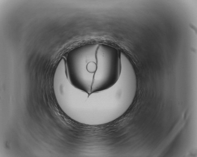 X0000099381492200805221753