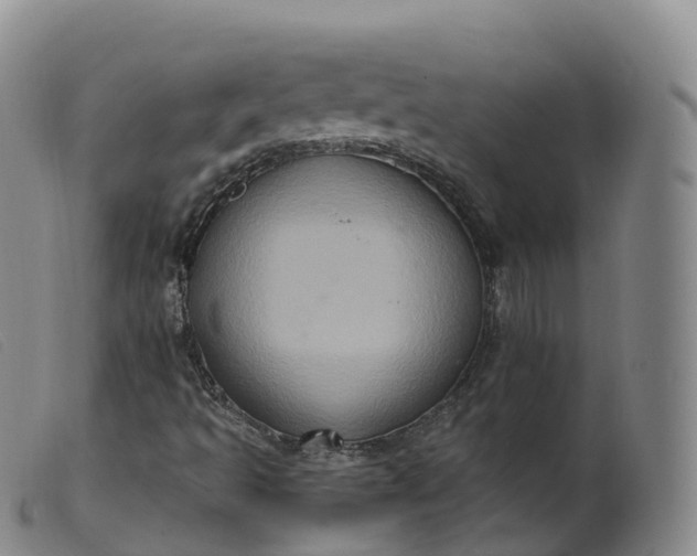 X0000099381493200805221753