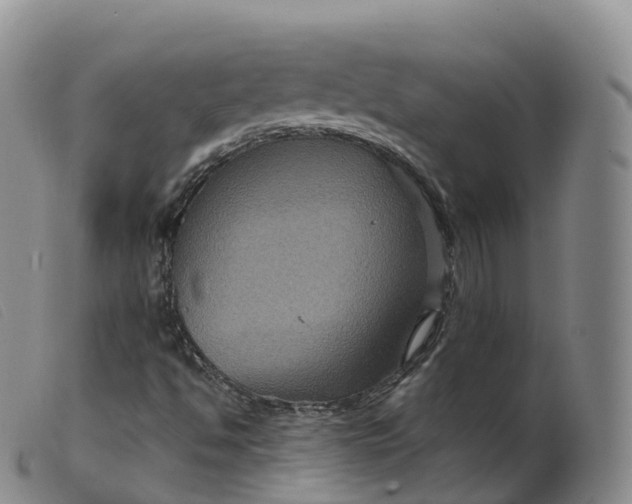 X0000099381494200805221753