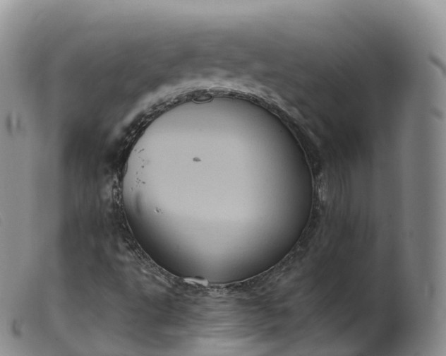 X0000099381495200805221753