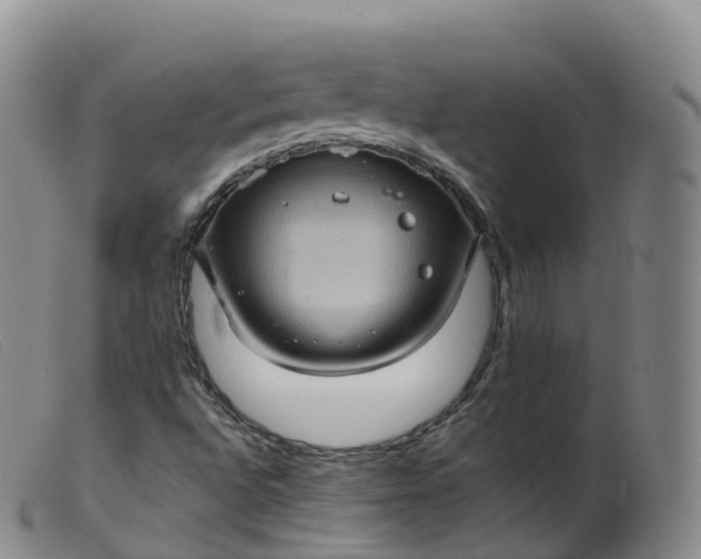 X0000099381496200805221753