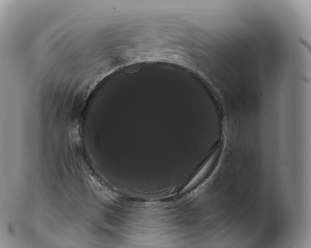 X0000099381497200805221753