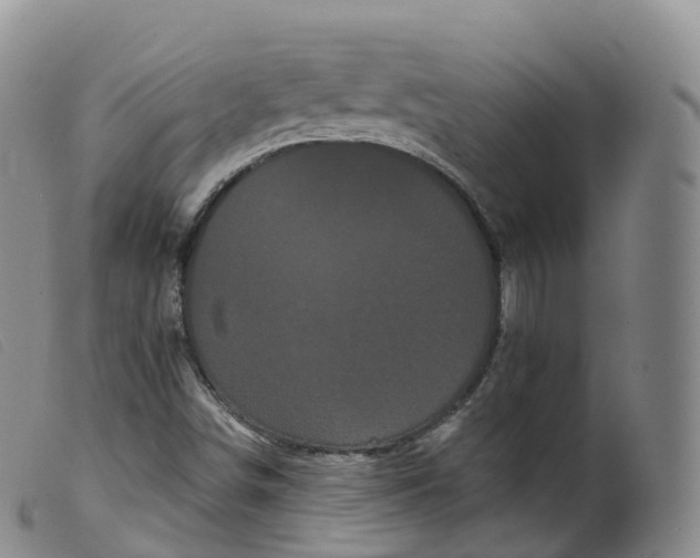 X0000099381498200805221753