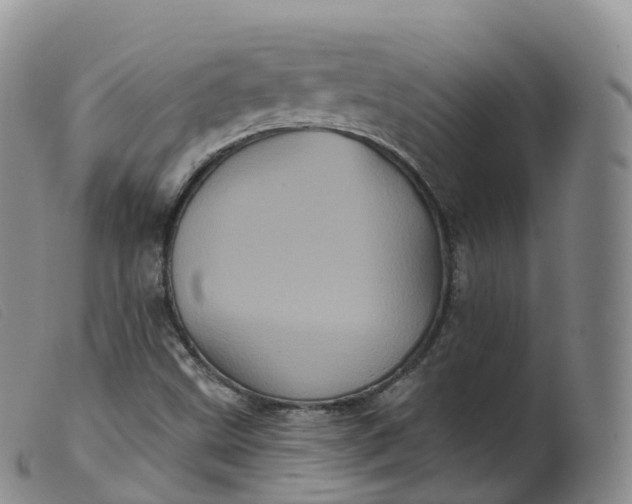 X0000099381499200805221753