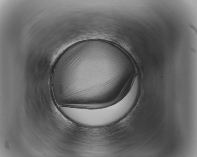 X0000099381500200805221753