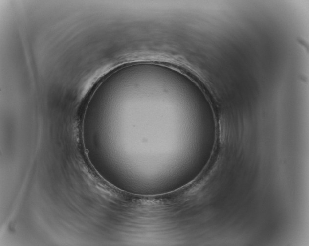 X0000099381501200805221753