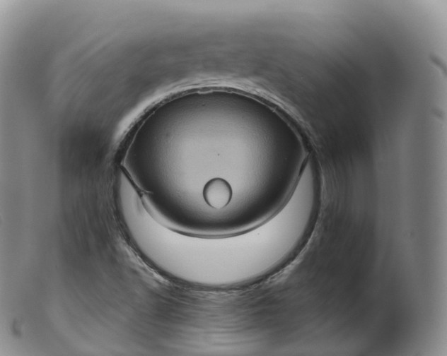 X0000099381502200805221753