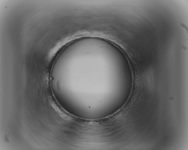 X0000099381503200805221753