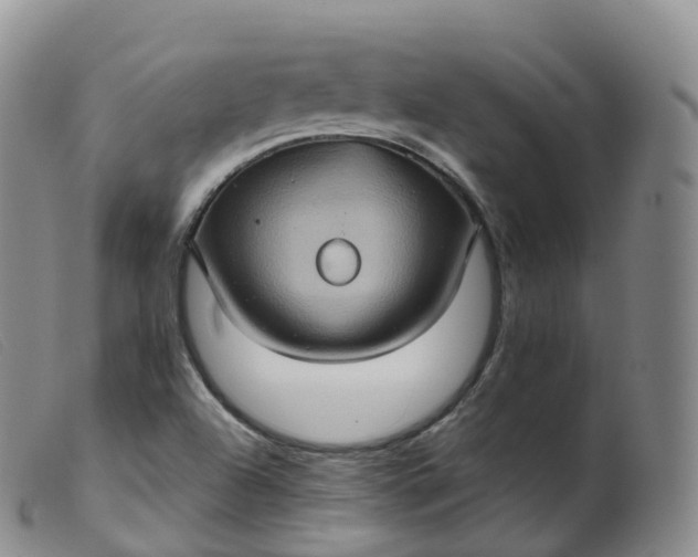 X0000099381504200805221753