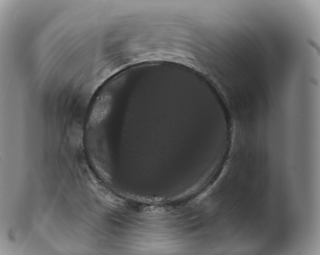 X0000099381505200805221753