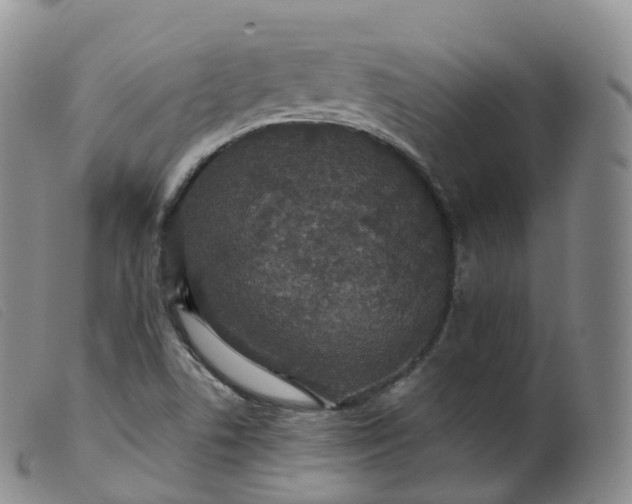 X0000099381506200805221753