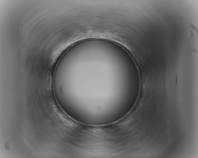 X0000099381507200805221753