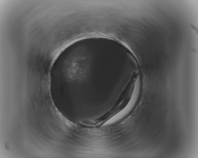 X0000099381508200805221753