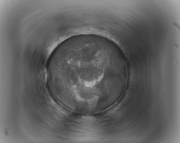 X0000099381509200805221753