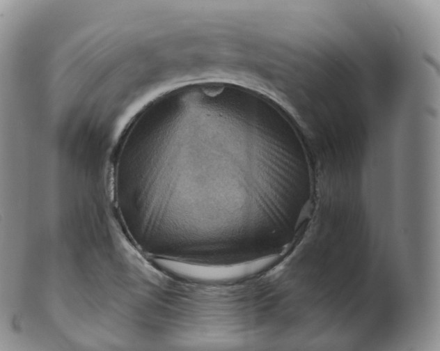 X0000099381510200805221753