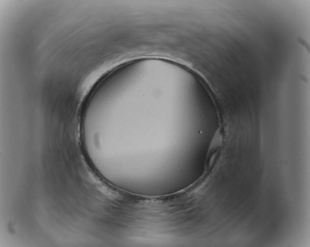 X0000099381511200805221753