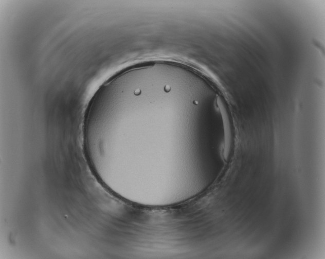 X0000099381512200805221753