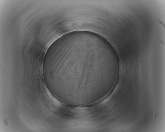 X0000099381513200805221753